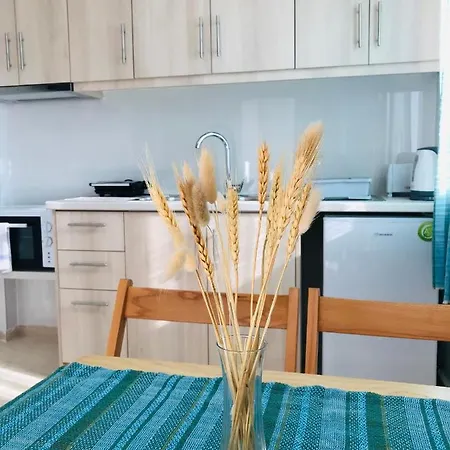 Banos 2 Bed And Swimming Pool Near The Appartement *